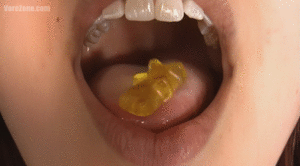 www.gtszone.com - VoreZone  376  Valentine thumbnail